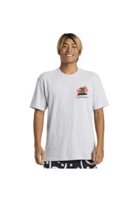 Quiksilver - Koszulka z krótkim rękawem dla Mężczyzn QUIK SURFER Szary. Kolor: biały. Materiał: materiał, bawełna. Długość rękawa: krótki rękaw. Długość: krótkie. Wzór: nadruk