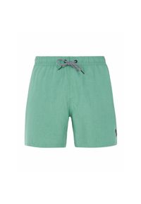 Szorty kąpielowe Protest Davey. Kolor: wielokolorowy, zielony, brązowy #1