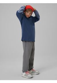 4f - 4F Bluza dresowa regular z kapturem chłopięca - niebieska 146 (10-11 lat). Okazja: na co dzień. Typ kołnierza: kaptur. Kolor: niebieski. Materiał: dresówka. Sezon: lato. Styl: klasyczny, casual #2