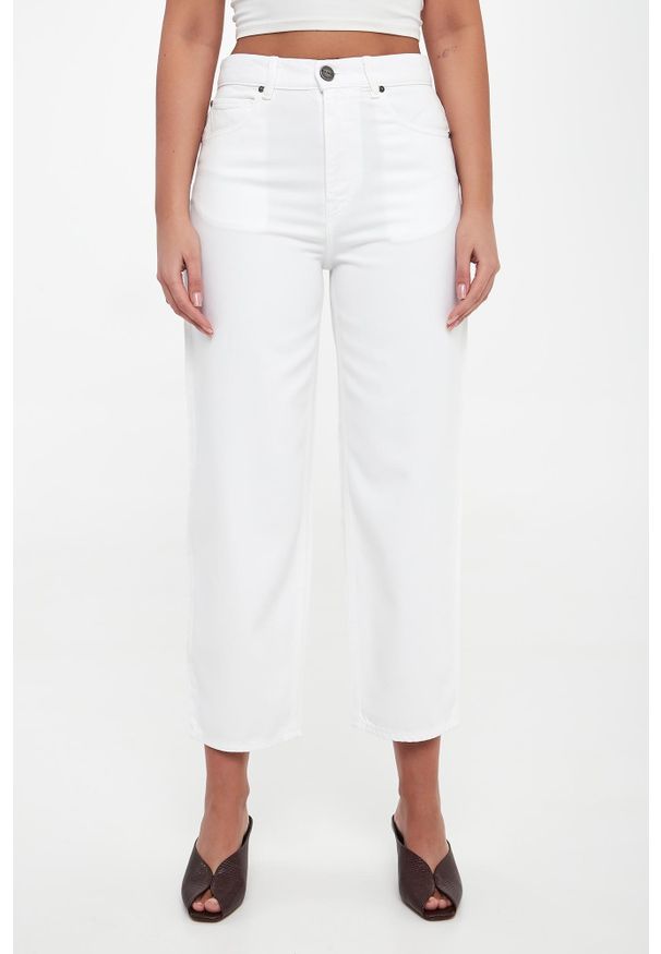 Pinko - Jeansy damskie Estelle PINKO