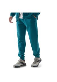 4f - Spodnie 4F WSS24TTROM60346S - niebieskie. Kolor: niebieski. Materiał: dresówka, bawełna, tkanina, materiał #1