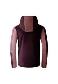 DARE 2B - Kurtka Dziecięca Thriving IV Fleece Jacket. Kolor: fioletowy, różowy, wielokolorowy. Sezon: zima. Sport: narciarstwo