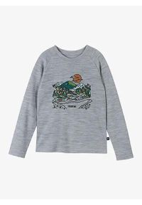Bluza dziecięca Reima Viisas. Kolor: szary