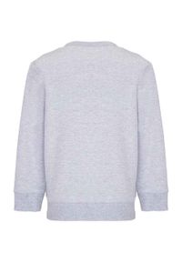 SOL'S - Bluza Dziecięca Columbia. Kolor: szary