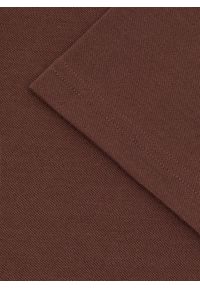 Pako Lorente - PAKO LORENTE – Męski t-shirt polo w kolorze brązowym. Okazja: na co dzień. Typ kołnierza: polo. Kolor: brązowy. Materiał: poliester, bawełna. Styl: casual #5