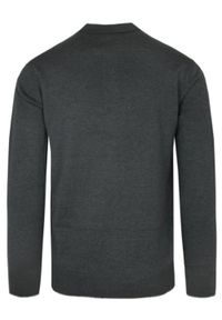 Dzianinowy Lekki Sweter w Stylu Longsleeve Polo – Brave Soul - Grafitowy. Typ kołnierza: polo. Kolor: szary. Materiał: akryl, bawełna. Długość rękawa: długi rękaw. Sezon: wiosna, jesień #3