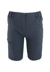 ZSPORT - Damskie Szorty Sportowe Matilda DPT - Oddychające i Elastyczne. Kolor: szary. Materiał: elastan. Długość: krótkie #1