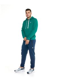 LEONE 1947 APPAREL - Męska bluza z kapturem Leone, miękka basic. Typ kołnierza: kaptur. Kolor: zielony. Materiał: tkanina. Sport: fitness