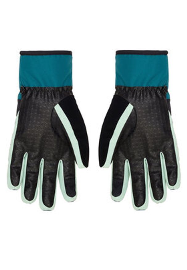 DC Shoes Rękawice narciarskie Franchise ADYHN03030 Zielony. Kolor: zielony. Materiał: poliester. Sport: narciarstwo