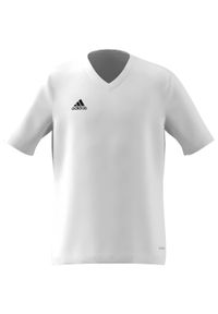 Adidas - Koszulka piłkarska dla dzieci adidas Entrada 22 Jersey. Kolor: biały. Materiał: poliester. Sport: piłka nożna