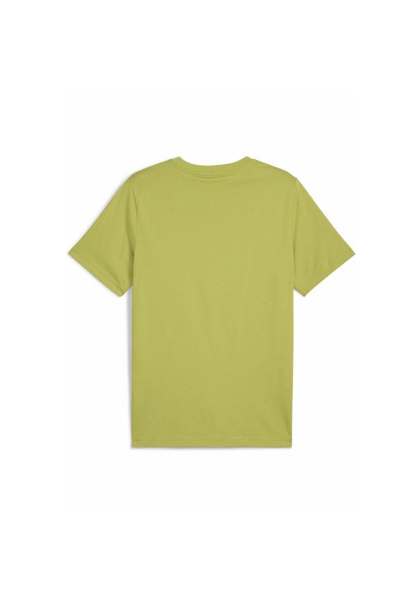 Puma - Męska koszulka z grafiką PUMATECH PUMA Sea Kelp Green. Kolor: zielony. Materiał: guma. Wzór: nadruk, kolorowy