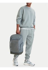Reebok Plecak CWBEO-RBK-WS-007-09 Szary. Kolor: szary. Materiał: materiał #1