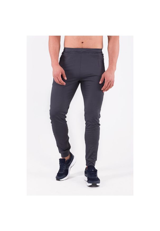 ROUGH RADICAL - Spodnie fitness męskie Rough Radical Rival. Kolor: szary. Materiał: dresówka. Sport: fitness