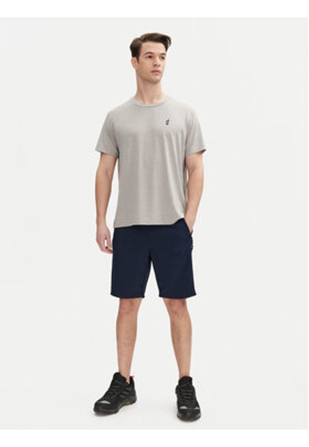 Aulp T-Shirt Tommy Szary Regular Fit. Kolor: szary. Materiał: syntetyk