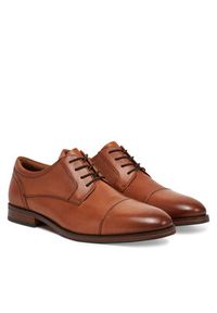 Aldo Półbuty Wriggle 13913527 Brązowy. Kolor: brązowy. Materiał: skóra