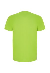 ROLY - Dziecięca/niemowlęca Koszulka Sportowa Imola Z Krótkim Rękawem. Kolor: zielony, wielokolorowy, żółty. Długość rękawa: krótki rękaw. Długość: krótkie. Sport: turystyka piesza