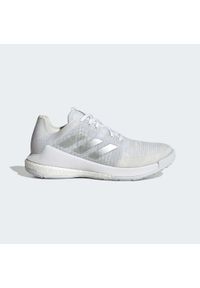 Buty do siatkówki damskie Adidas Crazyflight Shoes. Kolor: szary, biały, wielokolorowy. Materiał: materiał. Sport: siatkówka