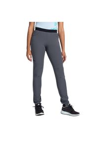 Damskie spodnie outdoorowe Kilpi MIMI-W. Kolor: szary. Materiał: nylon. Sezon: lato. Sport: turystyka piesza #1