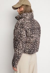 Born2be - Brązowa Krótka Pikowana Kurtka w Panterkę Wykończona Ściągaczami Ivinia. Okazja: na spacer. Kolor: brązowy. Materiał: jeans. Długość rękawa: długi rękaw. Długość: krótkie. Wzór: motyw zwierzęcy. Styl: elegancki #4