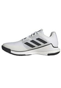 Adidas - Buty do siatkówki adidas CrazyFlight M HP3355 białe. Zapięcie: sznurówki. Kolor: biały. Materiał: syntetyk. Szerokość cholewki: normalna. Model: Adidas Crazy. Sport: siatkówka #6