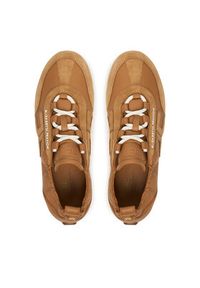 Elisabetta Franchi Sneakersy SA39G61E2 Brązowy. Kolor: brązowy. Materiał: skóra #2