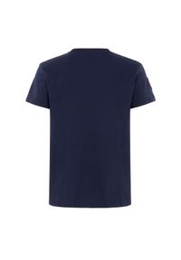 Ochnik - T-shirt męski. Kolor: niebieski. Materiał: bawełna. Wzór: nadruk, aplikacja. Styl: klasyczny #3
