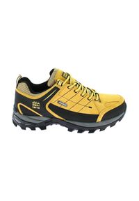 ELEMENTERRE - Buty trekkingowe Élémenterre Sonora Low EV. Kolor: żółty. Materiał: nylon, skóra. Szerokość cholewki: normalna