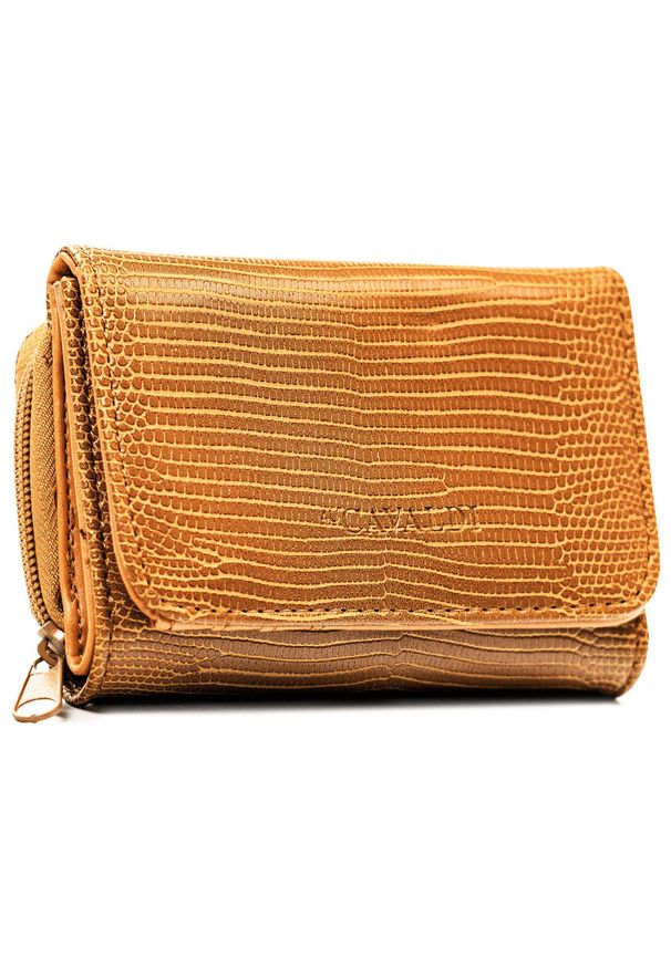 4U CAVALDI - Mały, brązowy portfel damski ze skóry ekologicznej zamykany na suwak i zatrzask 4U Cavaldi A-206L-BL. Kolor: brązowy. Materiał: skóra ekologiczna