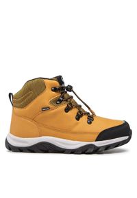 Halti Trekkingi Cody Mid 2 Dx Youth Shoe 054-2842 Brązowy. Kolor: brązowy. Materiał: skóra