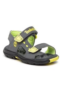 Timberland Sandały Moss Jump 2 Strap TB0A435H033 Szary. Kolor: szary #1