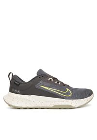 Buty do biegania Nike. Kolor: szary