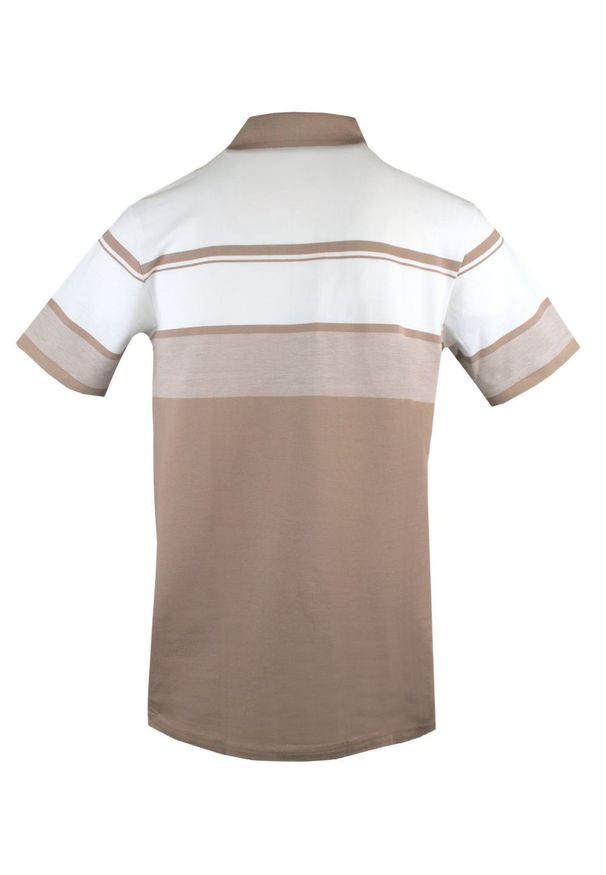 Koszulka Polo - Męska - Pako Jeans - Odcienie Beżów, Pasy. Okazja: na co dzień. Typ kołnierza: polo. Kolor: beżowy, brązowy, wielokolorowy. Materiał: bawełna. Wzór: prążki, paski. Styl: casual