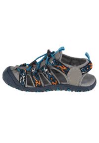 Sandały CMP Sahiph Hiking Sandal Jr 30Q9524-46UE czarne niebieskie szare. Okazja: na co dzień. Kolor: niebieski, wielokolorowy, czarny, szary. Materiał: tkanina, syntetyk, guma. Sezon: lato. Styl: casual