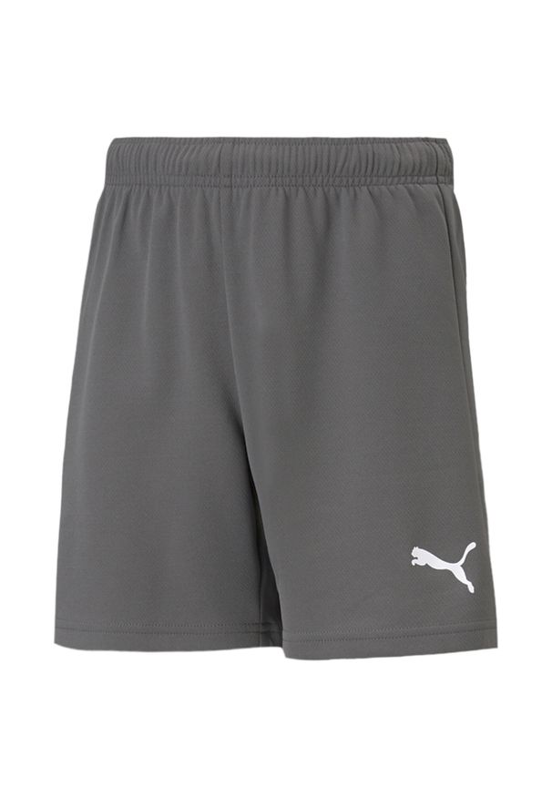 Spodenki Puma teamRise Short Jr 704943 13. Kolor: biały, wielokolorowy, szary. Sezon: lato. Sport: fitness, piłka nożna