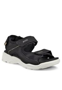 ecco - ECCO Sandały Juniors - Biom Raft Flat 70060351052 Czarny. Kolor: czarny