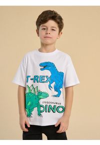 Sinsay - Koszulka oversize z nadrukiem w dinozaury - biały. Kolor: biały. Wzór: nadruk