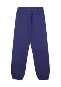 Lee Spodnie dresowe Wobbly Graphic LEG5097 Niebieski Regular Fit. Kolor: niebieski. Materiał: bawełna