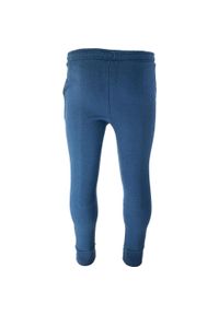 Spodnie fitness męskie Joma Montana cuff. Kolor: niebieski. Sport: fitness #2