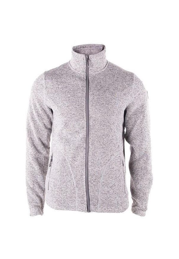 Weather Report - Bluza męska Richard Fleece jasnoszara. Kolor: szary