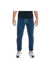 LEONE 1947 APPAREL - Męskie spodnie dresowe Leone Soft Basic. Kolor: niebieski. Materiał: dresówka. Sport: fitness