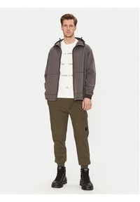 C.P. Company Spodnie dresowe 18CMSP017A005086W Zielony Regular Fit. Kolor: zielony. Materiał: bawełna