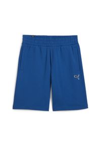 Szorty Sportowe Męskie Puma Better Essentials 9'' Tr. Kolor: szary, niebieski, wielokolorowy. Sport: fitness