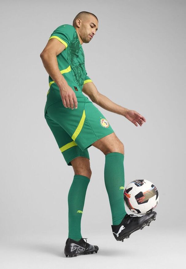 Puma - Męskie szorty Senegal 2025 PUMA Sport Green Electric Lime. Kolor: zielony. Wzór: aplikacja