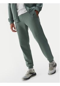 4f - 4F Spodnie dresowe 4FWSS24TTROM645 Zielony Regular Fit. Kolor: zielony. Materiał: bawełna #5