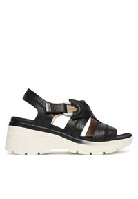 Hispanitas Sandały HV264570 C002 Czarny. Kolor: czarny. Materiał: skóra #1