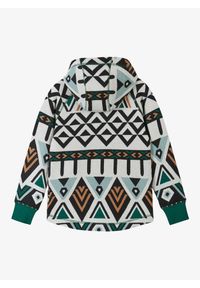 Bluza dziecięca Reima Northern. Kolor: zielony