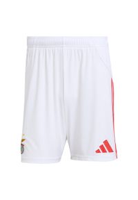 Adidas - Szorty Benfica 25/26 Home. Kolor: biały. Sport: piłka nożna