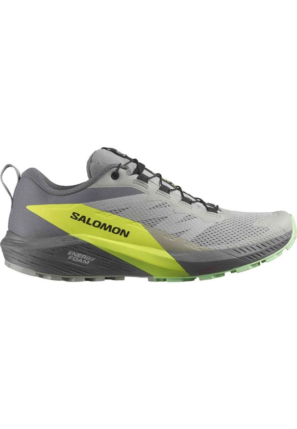 salomon - Buty trekkingowe męskie Salomon Sense Ride 5. Kolor: szary. Sport: bieganie