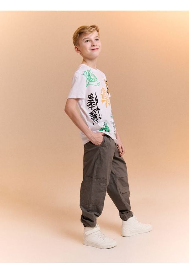 Sinsay - Jeansy jogger cargo - szary. Kolor: szary