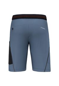 Spodenki turystyczne męskie Salewa Pedroc 3 DST M Cargo Shorts. Kolor: niebieski. Sport: turystyka piesza